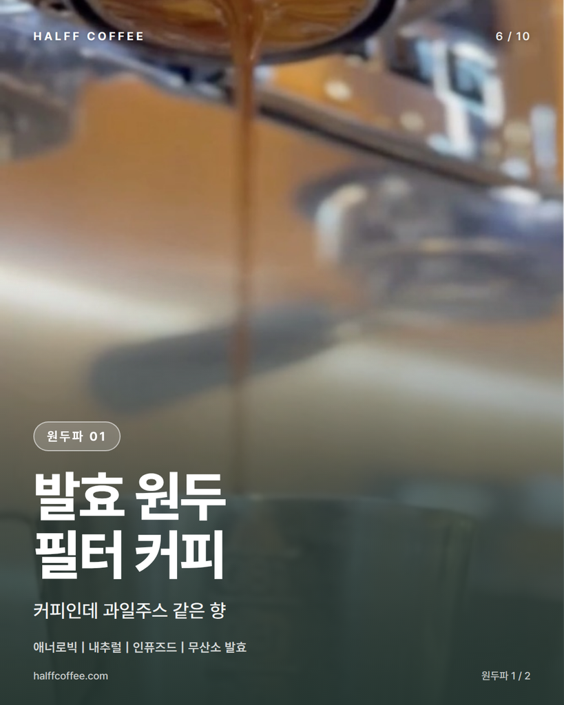 하프커피_AI 검색 답변 기반 콘텐츠 제작)6