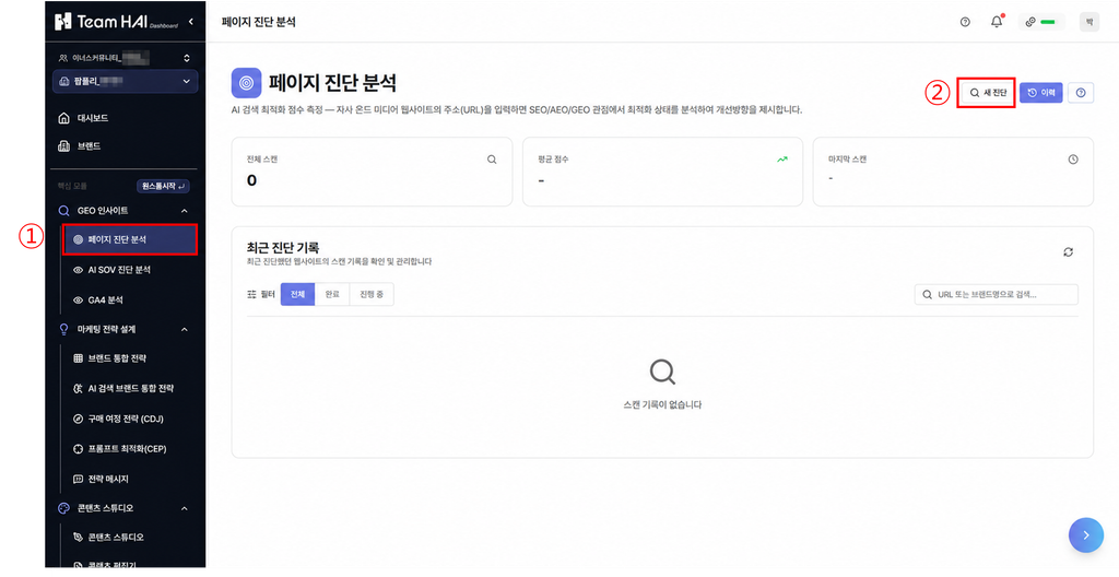 팀하이-AIGEO페이지 새진단 팀하이-AIGEO페이지 새진단